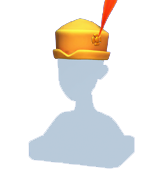 Bonnet de barde