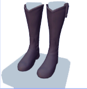 Botas negras hasta la rodilla