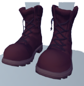 Botas de combate marrones