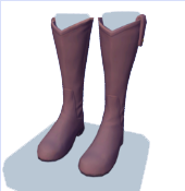 Botas marrones hasta la rodilla