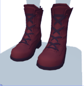 Botas marrones con cordones
