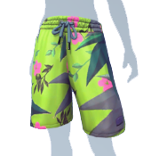 Pantalones cortos de playa verdes
