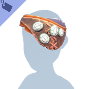 Left Privateer Eyepatch