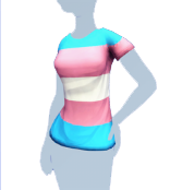 Pride -- Camiseta brillante
