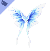The Wings of Winter