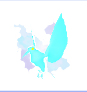 Oiseau solaire bleu fantaisiste