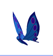 Butterfly Companion