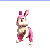 Pink Spring Rabbit