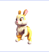 Yellow Spring Rabbit
