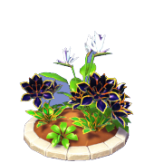 Schwarze und weiße Blumenscheibe