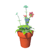 Daisy and Marsh Milkweed Pot