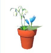 Fallender Penstemon und Glockenblumentopf