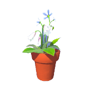 Stern Lilie und Falling Penstemon Topf