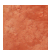 Sun-Baked Earthen Road