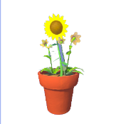 Sonnenblume und Gänseblümchen Topf