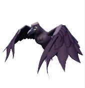 Ravens