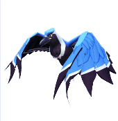 Corvo blu