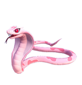 Cobra à taches roses
