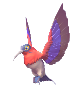 Red Sunbird