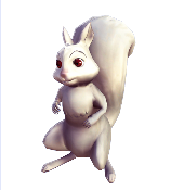 White Squirrel