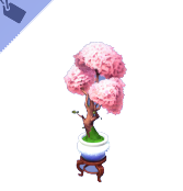 Cerezo en flor