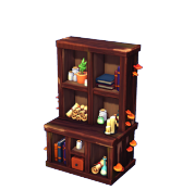 Conjurer's Bookcase