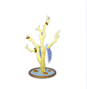 Coral Jewelry Stand