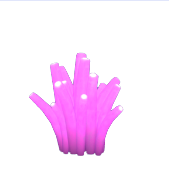Anemone cavatappi