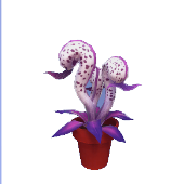 Dreamlight Cobra Lily