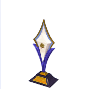 DreamSnaps Trophy