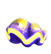 Giant Clam