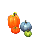 Colección Calabaza Grande