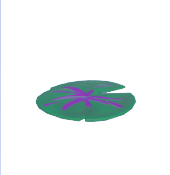 Lily Pad