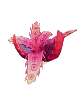Coral helecho mediano