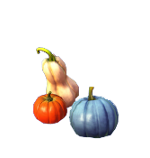 Medium Pumpkin Collection