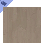 Mickey Mouse Hardwood Flooring