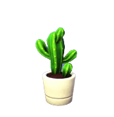 Mini-Saguaro in White Pot