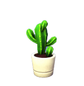 Mini-Saguaro en maceta blanca