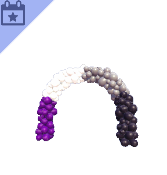 Shimmer Balloon Arch