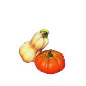 Colección Calabaza Pequeña