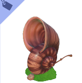 Snail Shell Horn