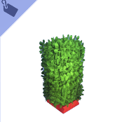 Valla Topiary