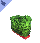 Cerca Topiary