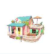Hawaiian Home