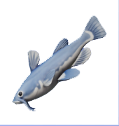 Catfish