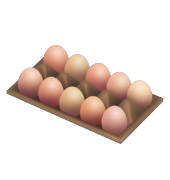 Egg