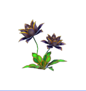 Black Glass-Like Flowers