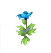 Blue Passion Lily