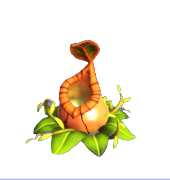 Orange Pitcher Plant
