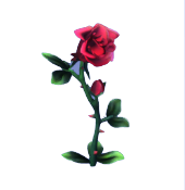 Red Rose